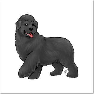 Dog - Newfoundland - Black Posters and Art